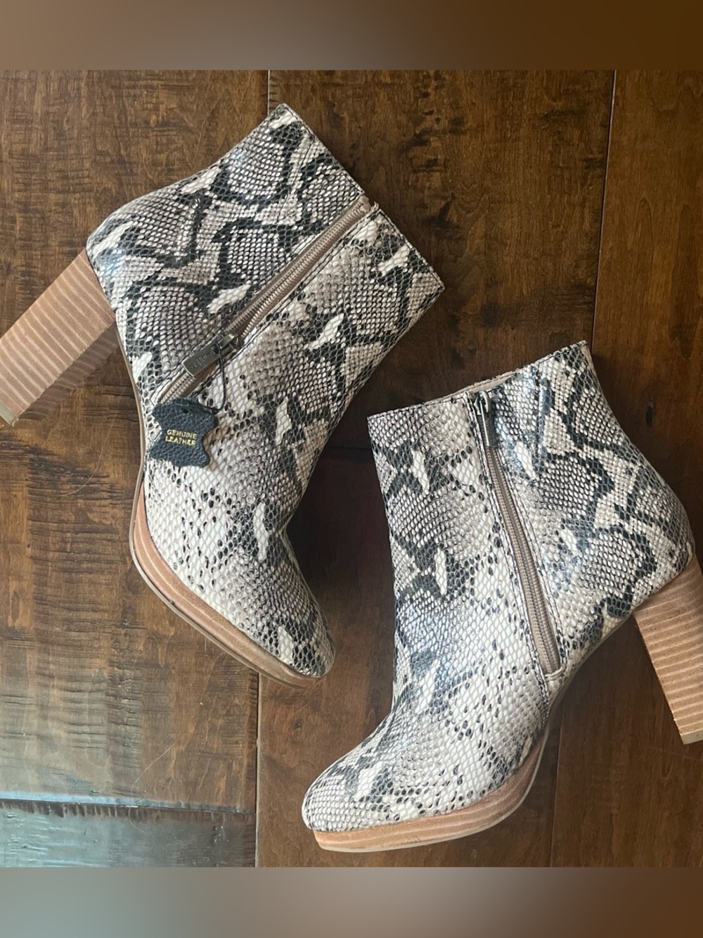 American Rag ‘Hayes’ gray and black leather snake skin ankle boots Sz. 8